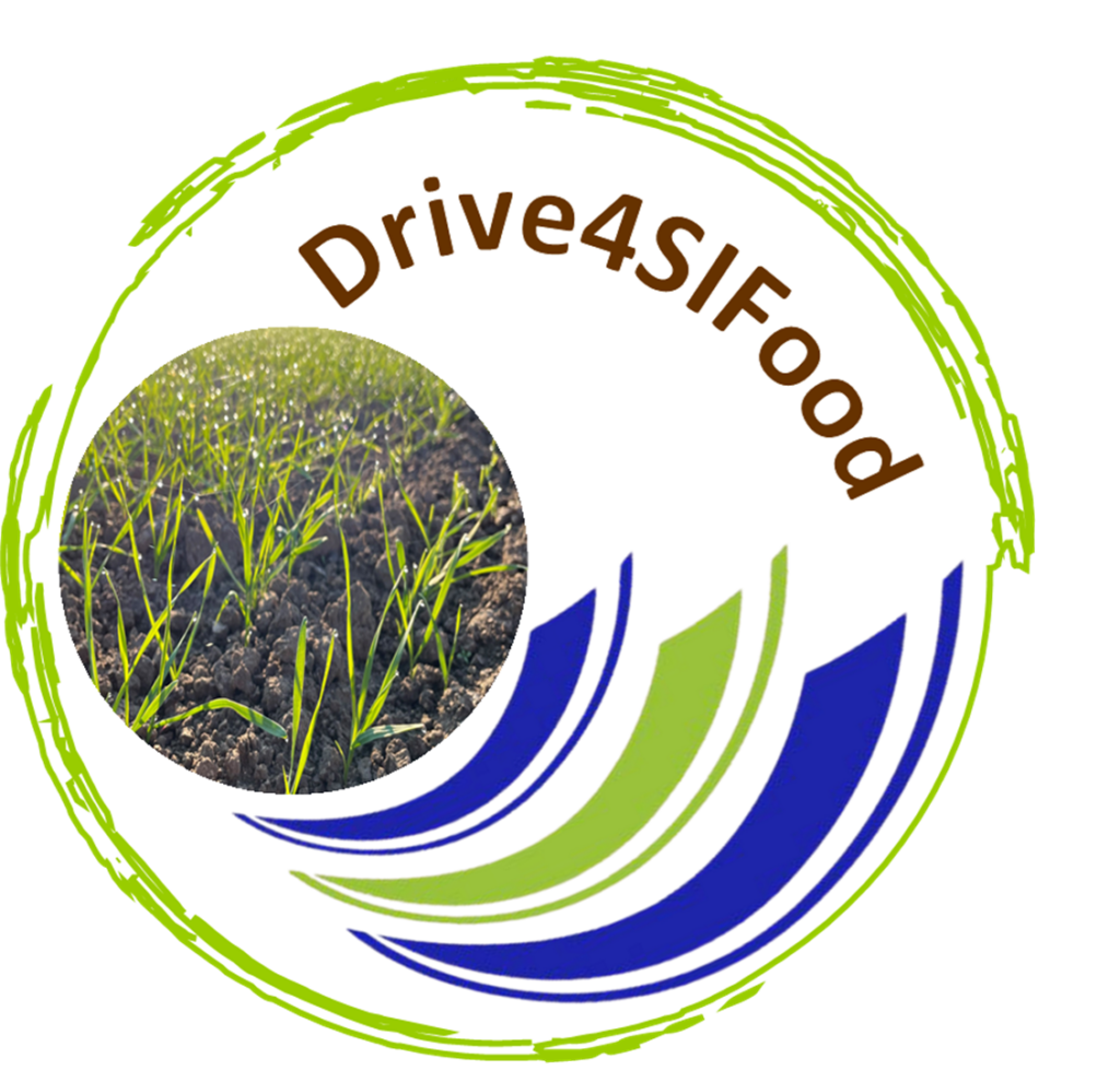 logo DSV upravene 19112021 1