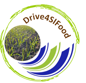 logo DSV upravene 19112021 1 300x290