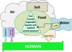 schema